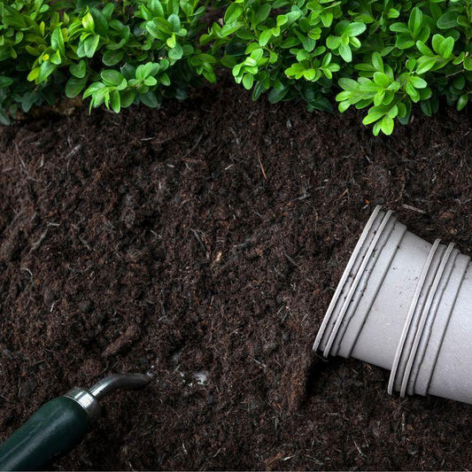How to Use NPK for Pot Preparation - Garden365