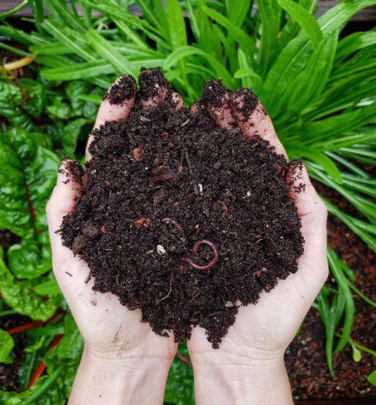 How to Use Vermicompost for Pot Preparation - Garden365
