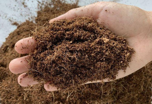How to Use Cocopeat (Low EC) Powder for Pot Preparation - Garden365