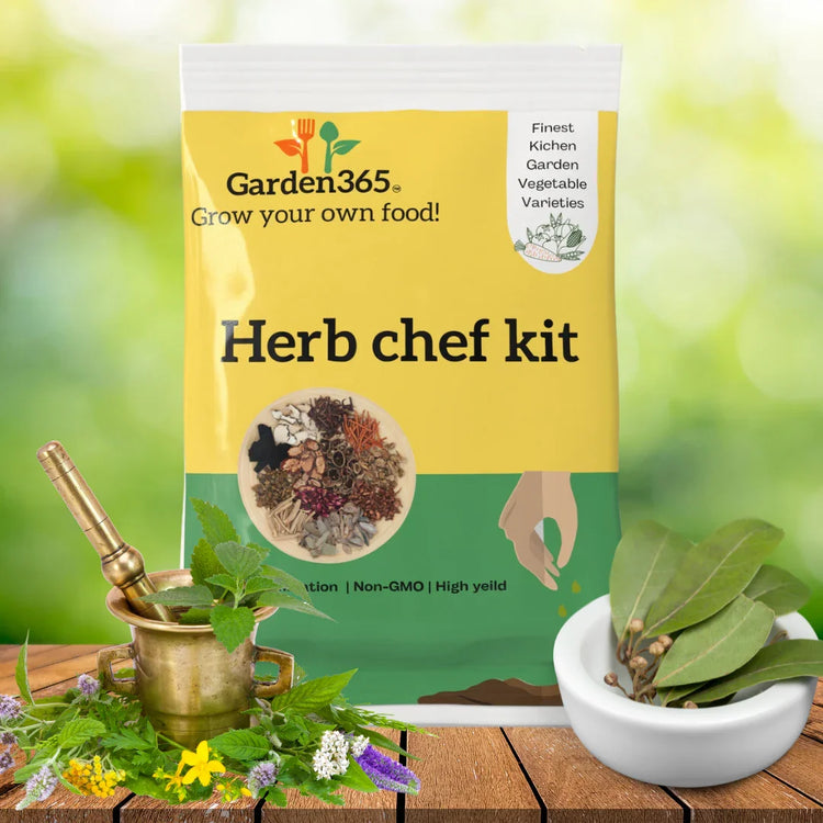 Herb Seeds - Garden365