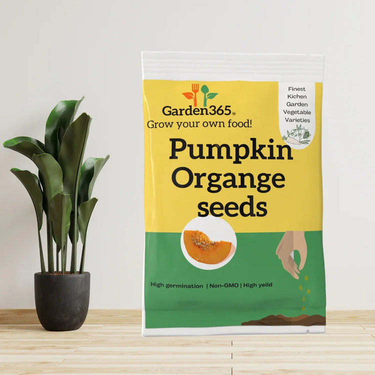 Vegetable Seeds - Garden365
