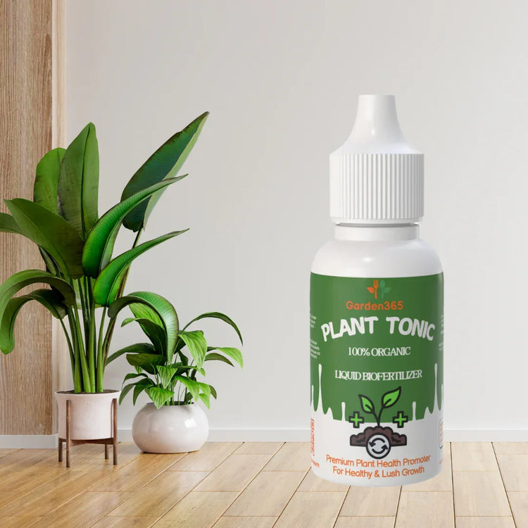 Plant care - Garden365