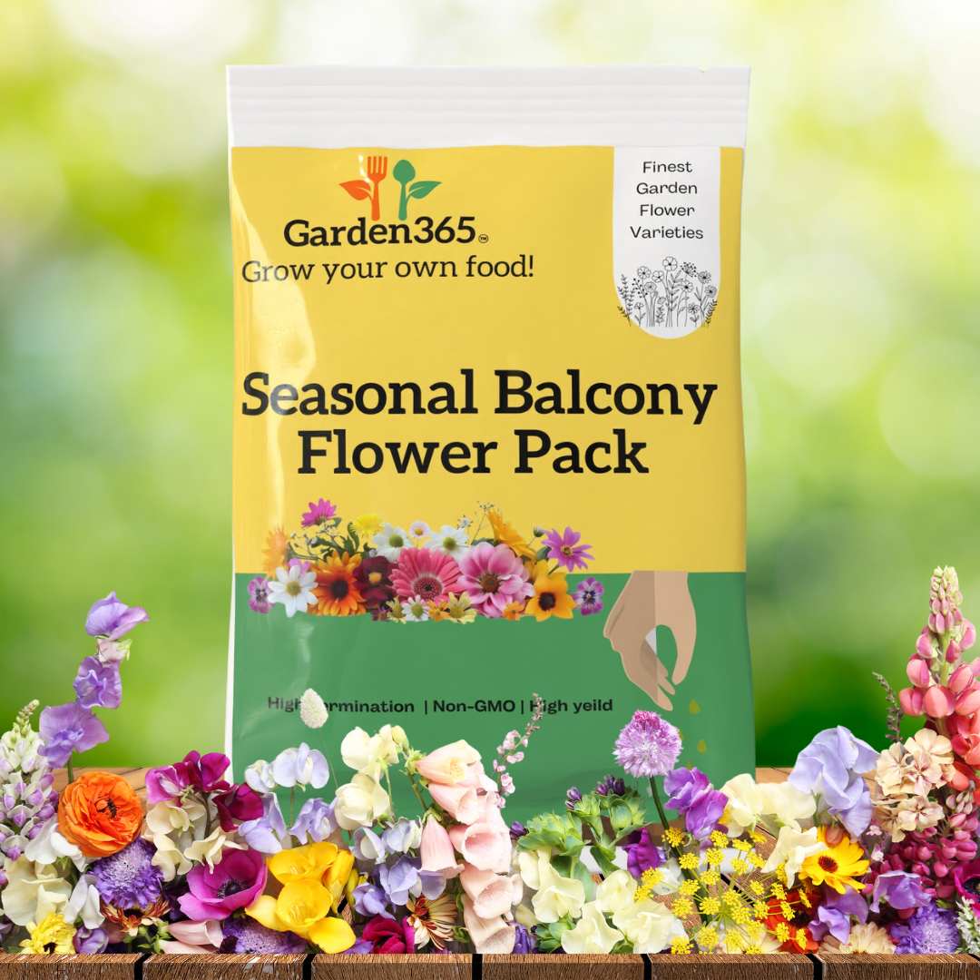 Seasonal Balcony Flower Pack – Colorful Blooms All Year | Pack of 6 premium Flower seeds - Garden365