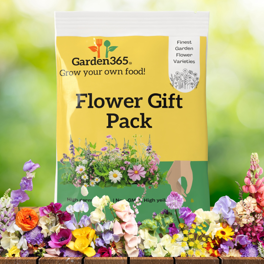 Flower Gift Pack – A Gift that Blooms with Joy | Pack of 6 premium seeds - Garden365