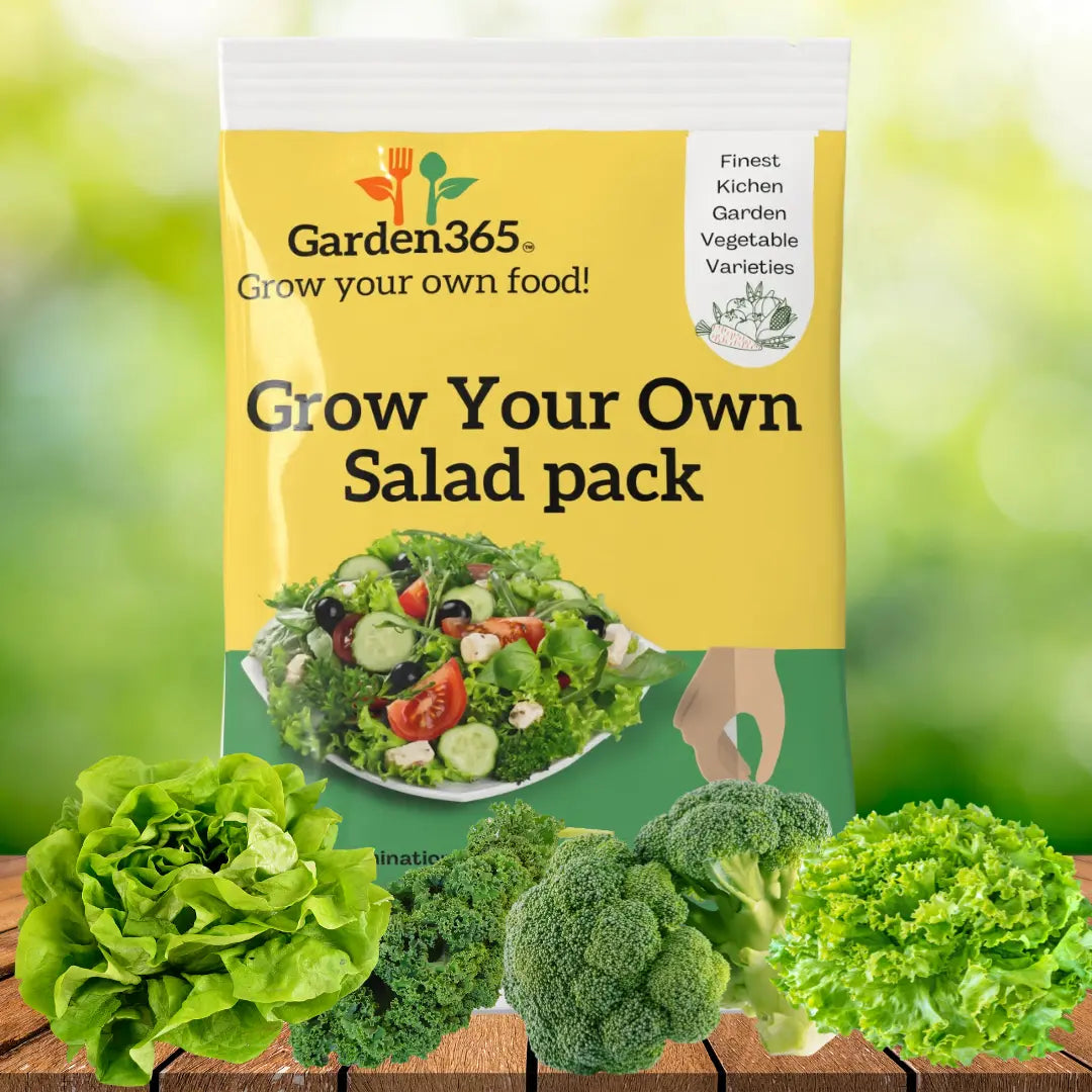 Grow Your Own Salad Pack – Fresh, Crunchy & Homegrown | Pack of 6 varity seeds Garden365