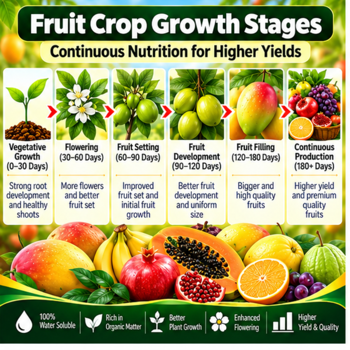 Fruit Crops Organic Master 7X Water Soluble Organic Fertilizer