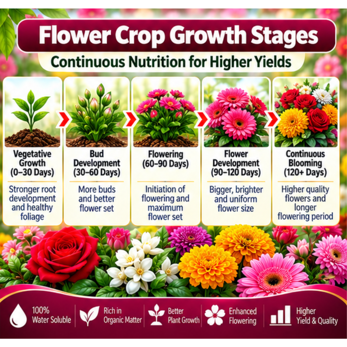 Flower Crops Organic Master 7X Water Soluble Organic Fertilizer