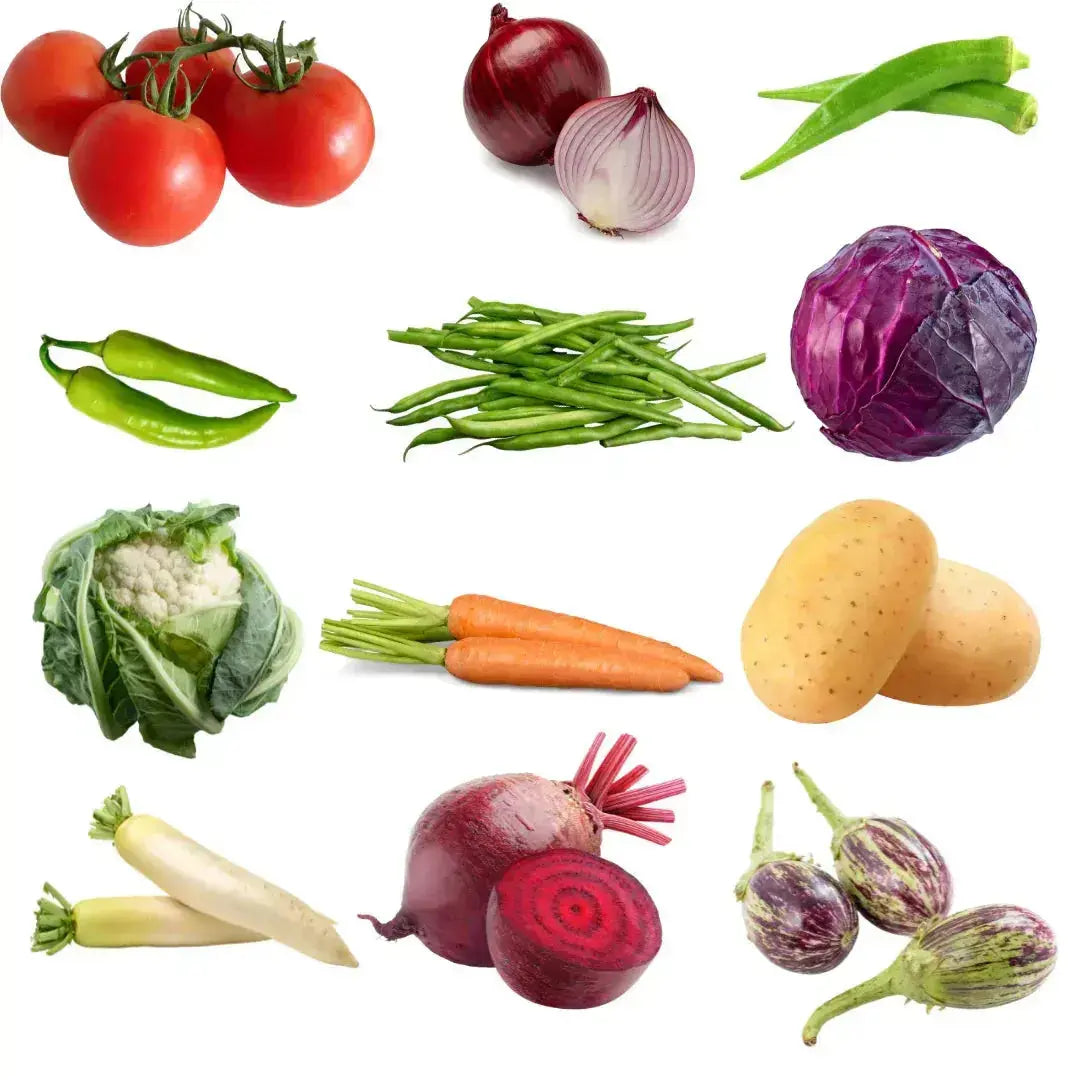 Garden365 Kitchen Garden Seeds Starter Pack | 6 Easy-to-Grow Vegetables - Garden365