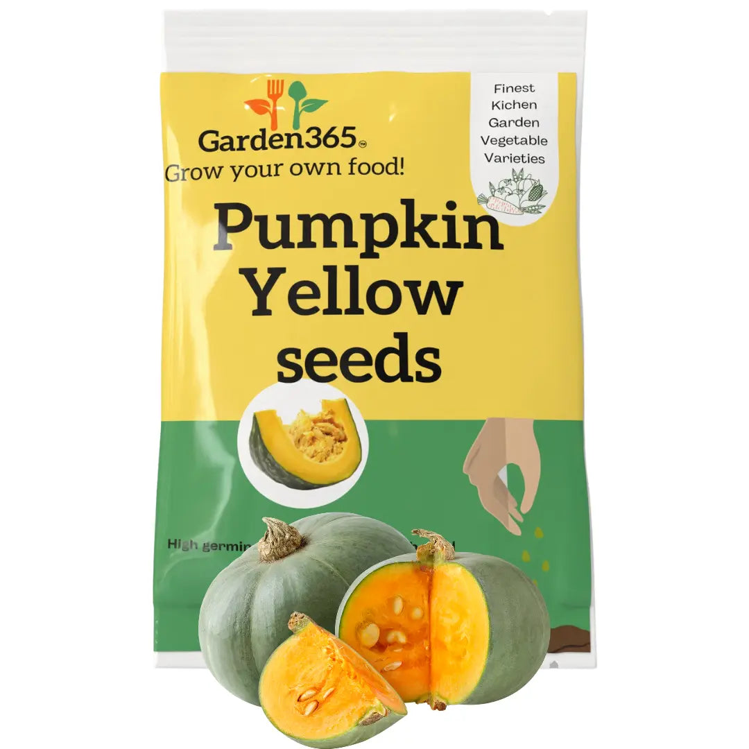 Yellow Pumpkin Seeds | Organic Heirloom Naati Seeds | 15 Seeds | Kitchen Garden Seeds of पीला कद्दू / ಹಳದಿ ಕುಂಬಳಕಾಯಿ / పసుపు గుమ్మడికాయ / மஞ்சள் பரங்கிக்காய் / മഞ്ഞ മത്തങ്ങ Garden365
