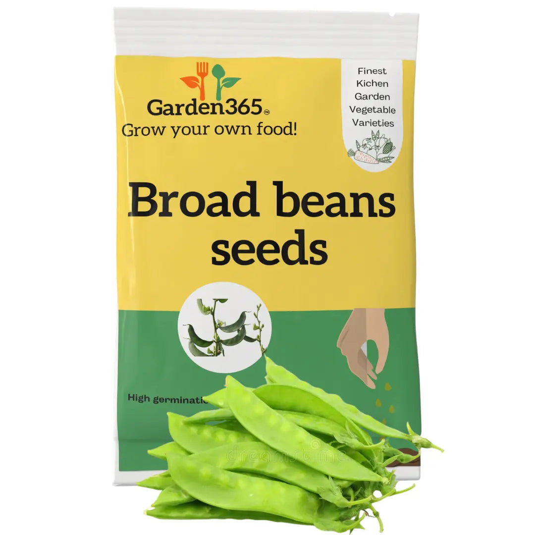 Broad Beans Seeds (Fava Beans) | Organic Heirloom Naati Seeds | 20 Seeds | Kitchen Garden Seeds of बाकला / ಅವರೆಕಾಯಿ / బాక్లా / அவரைக்காய் / അവരെക്കായ് Garden365