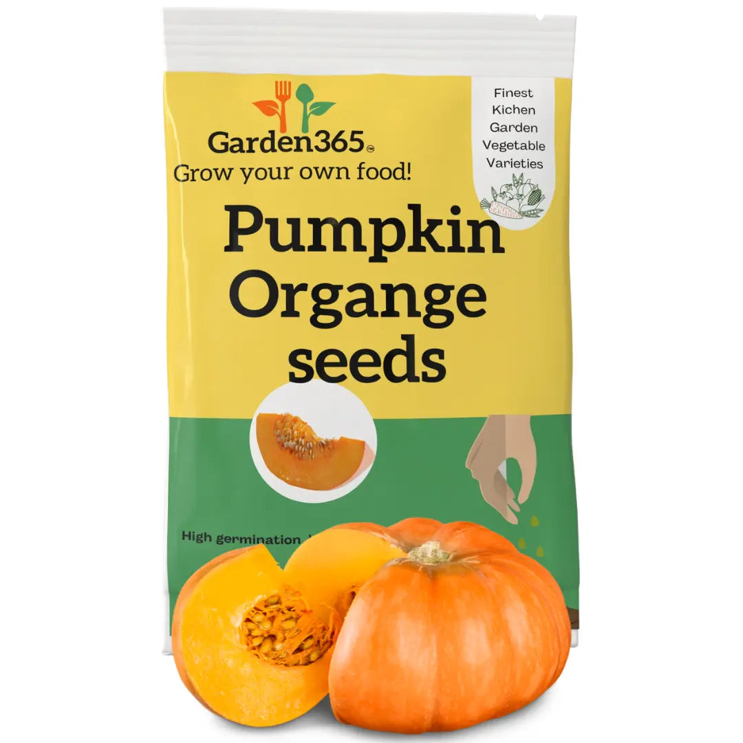 Orange Pumpkin Seeds | Organic Heirloom Naati Seeds | 20 Seeds | Kitchen Garden Seeds of कद्दू / ಕುಂಬಳಕಾಯಿ / గుమ్మడికాయ / பரங்கிக்காய் / മത്തങ്ങ Garden365