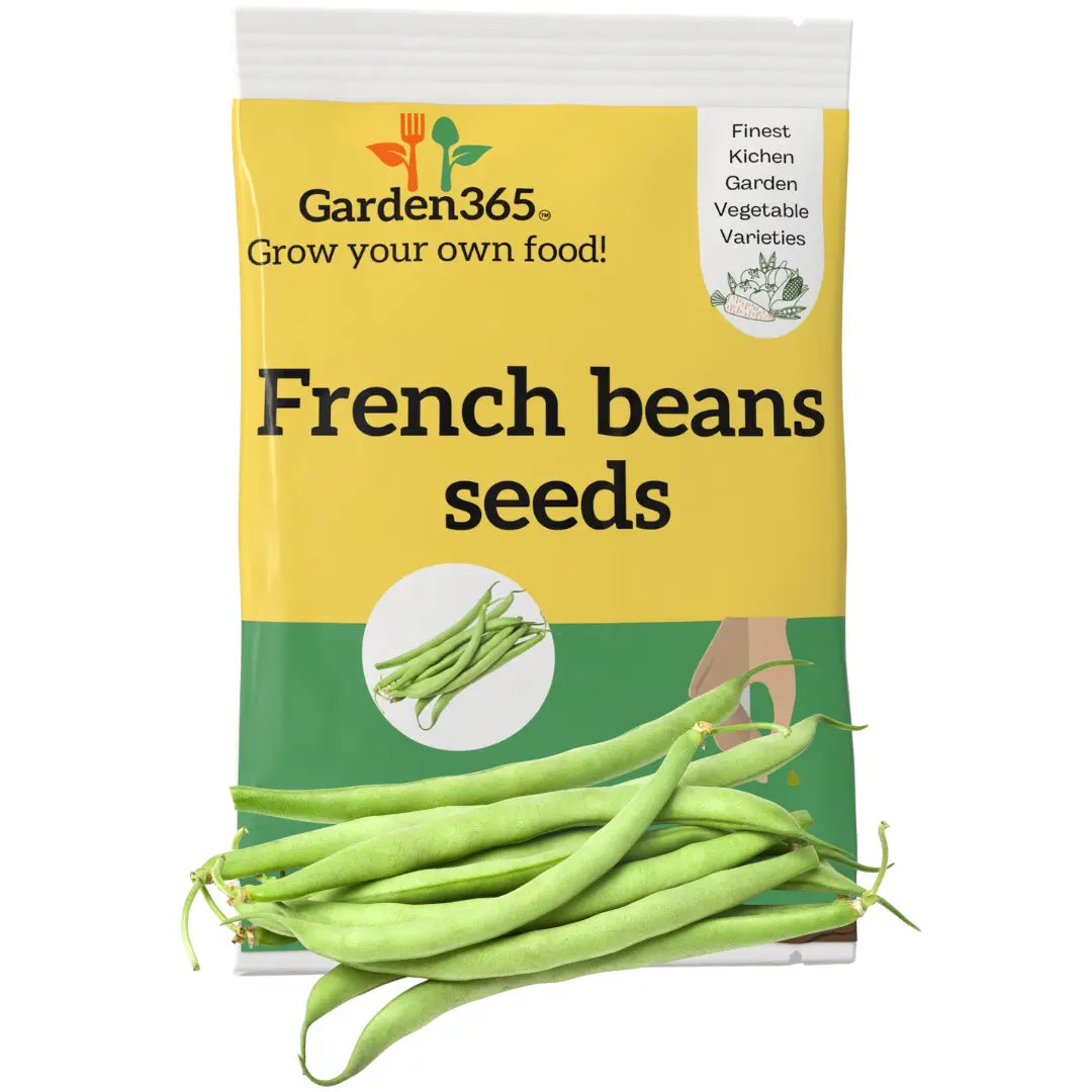 French Beans Seeds (Green Beans / Haricot Vert) | Organic Heirloom Naati Seeds | 30 Seeds | Kitchen Garden Seeds of फरसबी / ಹುರಳಿಕಾಯಿ / బీన్స్ / பீன்ஸ் / പയർ Garden365