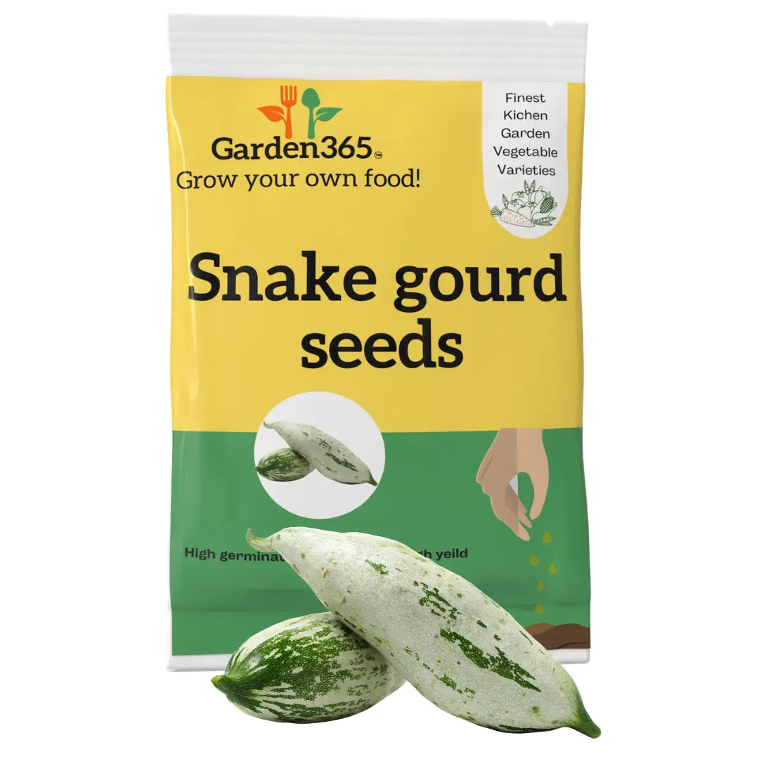 Snake Gourd Seeds (Chichinda / Padwal) | Organic Heirloom Naati Seeds | 20 Seeds | Kitchen Garden Seeds of चिचिंडा / ಪಡವಲಕಾಯಿ / పొట్లకాయ / புடலங்காய் / പുടലങ്ങ Garden365