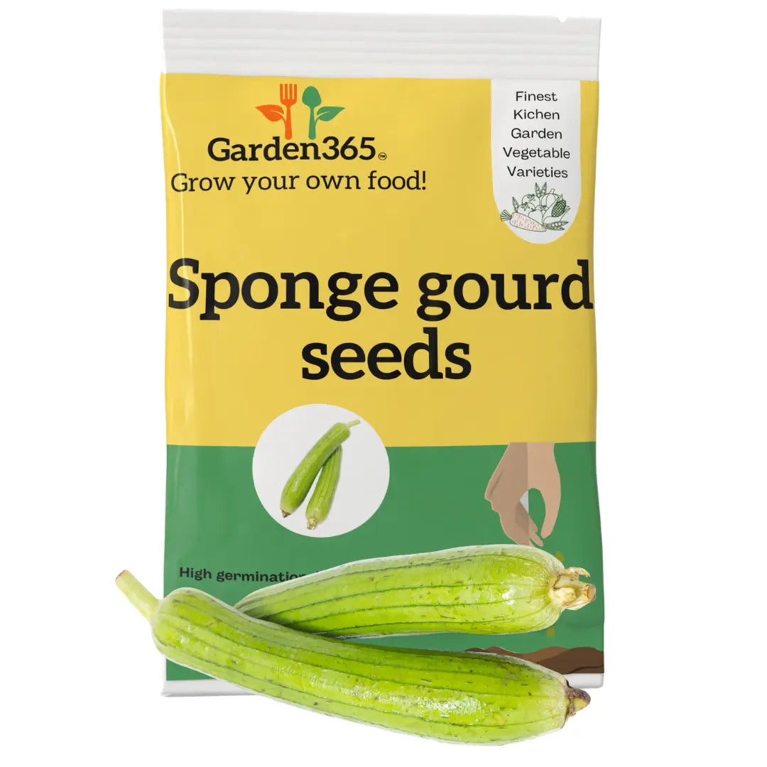 Sponge Gourd Seeds (Luffa / Ridge Gourd) | Organic Heirloom Naati Seeds | 20 Seeds | Kitchen Garden Seeds of घिया तोरी / ನೀರುಹೀರೇಕಾಯಿ / గిలకర / சுரைக்காய் லூஃபா / പടവലങ്ങ ലൂഫാ Garden365