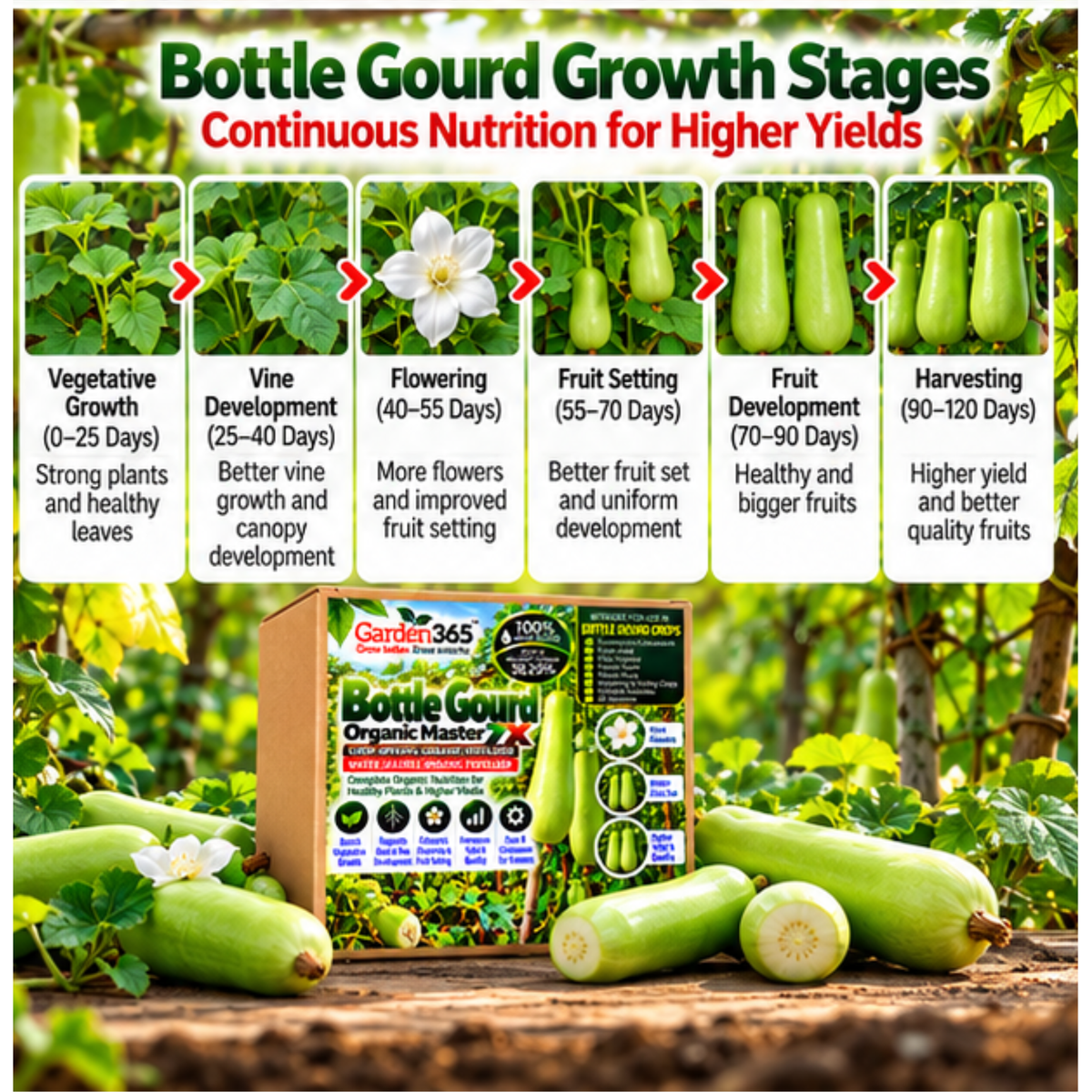 Bottle Gourd Organic Master 7X Crop-Specific Organic Fertilizer Water Soluble Organic Fertilizer