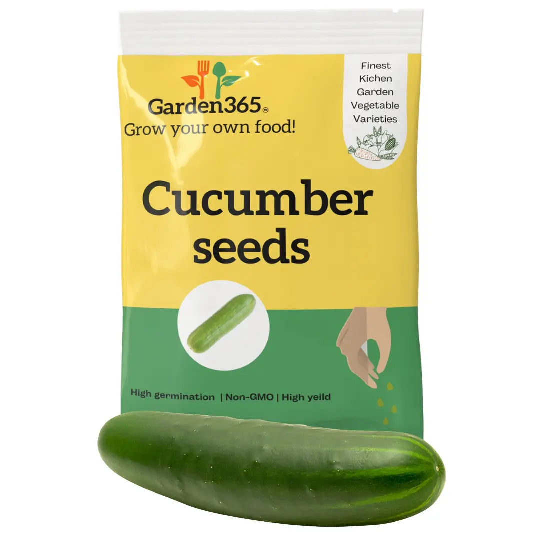 Cucumber Seeds (Kheera) | Organic Heirloom Naati Seeds | 30 Seeds | Kitchen Garden Seeds of खीरा / ಸೌತೆಕಾಯಿ / దోసకాయ / வெள்ளரி / വെണ്ട Garden365