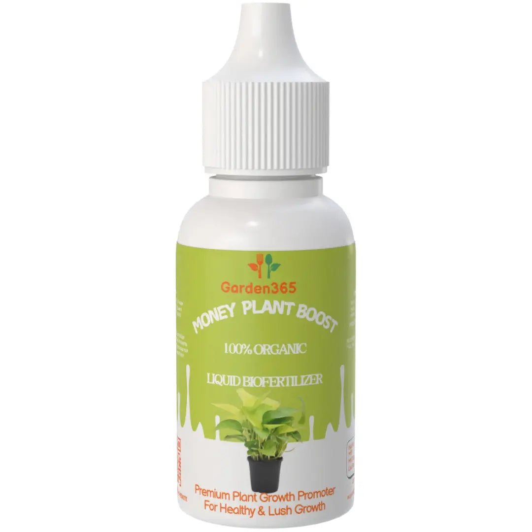 Money Plant Boost – Organic Bio Fertilizer for Money Plants 50 ml Garden365