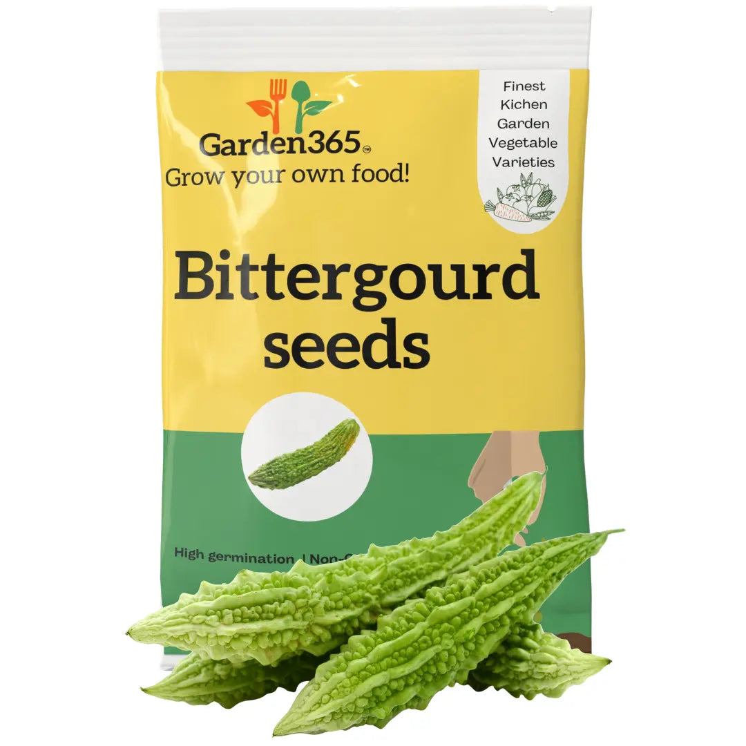 Bitter Gourd Seeds (Karela) | Organic Heirloom Naati Seeds | 20 Seeds | Kitchen Garden Seeds of करेला / ಹಾಗಲಕಾಯಿ / కాకర / பாகற்காய் / പാവയ്ക്ക Garden365