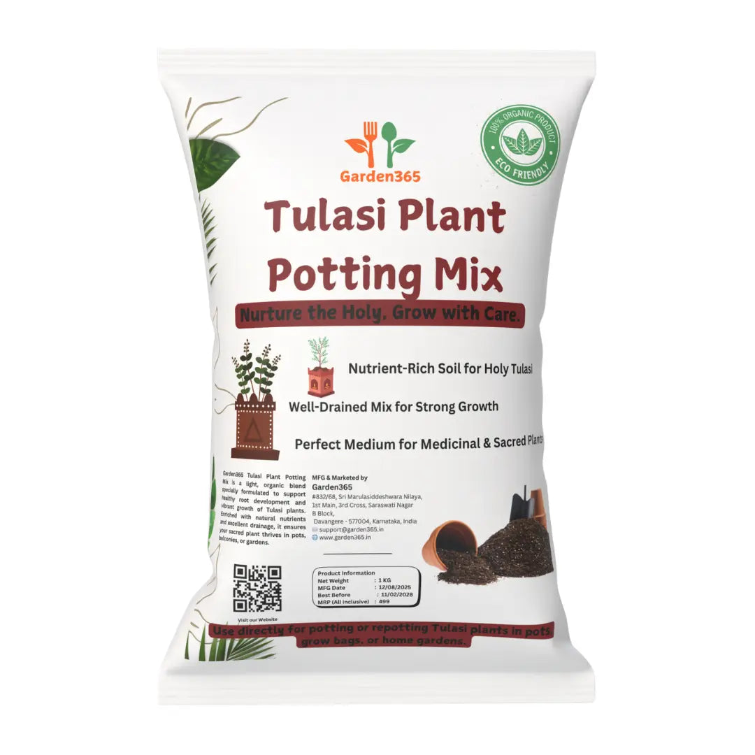 Tulasi Plant Potting Mix | Nutrient-Rich Soil for Holy Basil Garden365