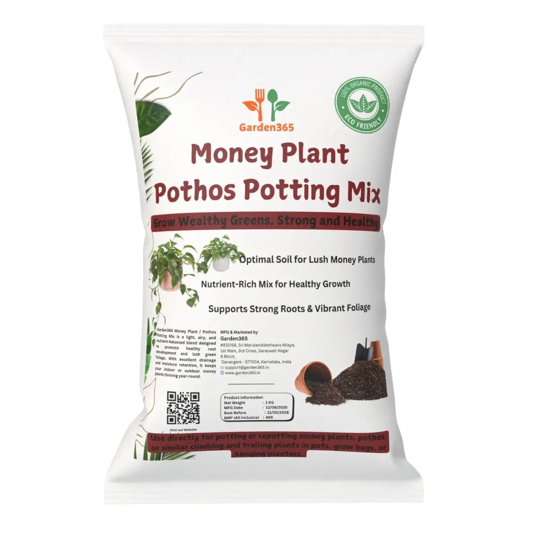 Money Plant Potting Mix | Nutrient-Rich Soil for Healthy Growth Garden365