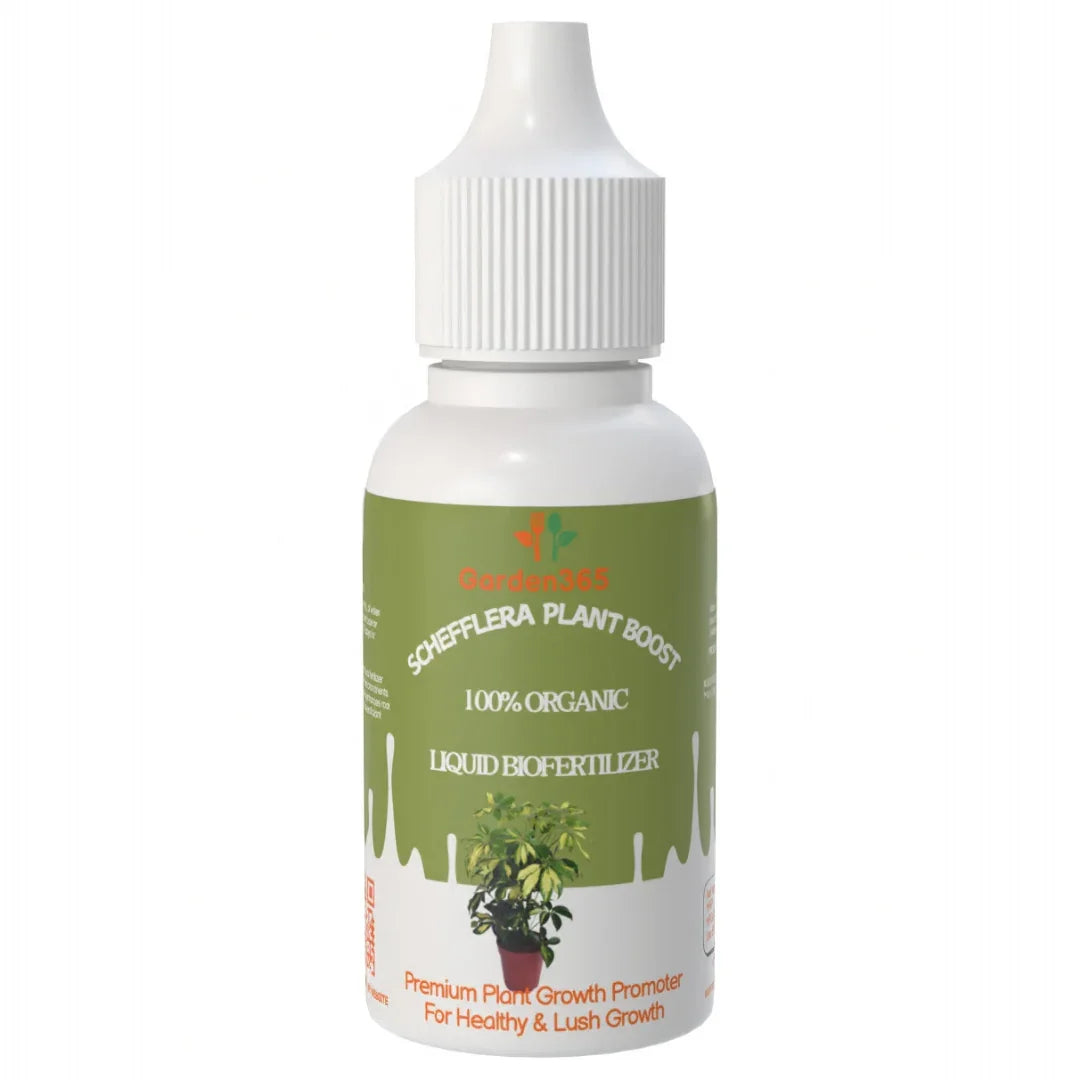 Schefflera Plant Boost – Organic Bio Fertilizer for Schefflera (50 ml | Buy 1 Get 2 Free!) - Garden365