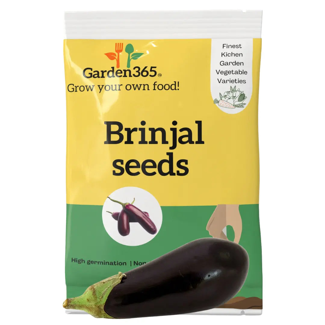 Brinjal Seeds (Eggplant / Aubergine) | Organic Heirloom Naati Seeds | 30 Seeds | Kitchen Garden Seeds of बैंगन / ಬದನೇಕಾಯಿ / వంకాయ / கத்தரிக்காய் / വഴുതന Garden365