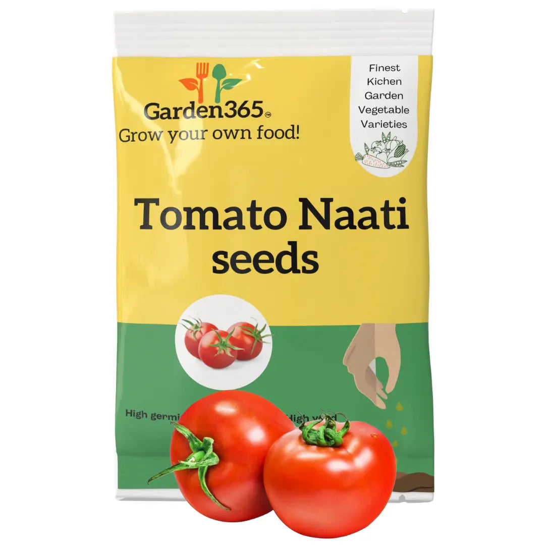 Tomato Seeds | Organic Heirloom Naati Seeds | 30 Seeds | Kitchen Garden Seeds of टमाटर / ಟೊಮೇಟೊ / టమోటా / தக்காளி / തക്കാളി Garden365