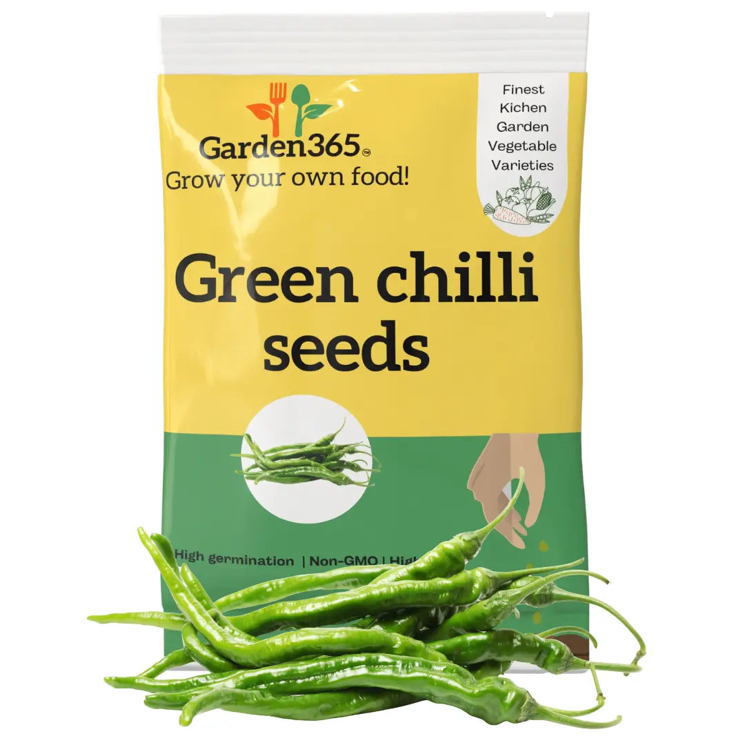 Green Chilli Seeds | Organic Heirloom Naati Seeds | 30 Seeds | Kitchen Garden Seeds of हरी मिर्च / ಹಸಿಮೆಣಸು / పచ్చి మిరప / பச்சை மிளகாய் / പച്ചമുളക് Garden365
