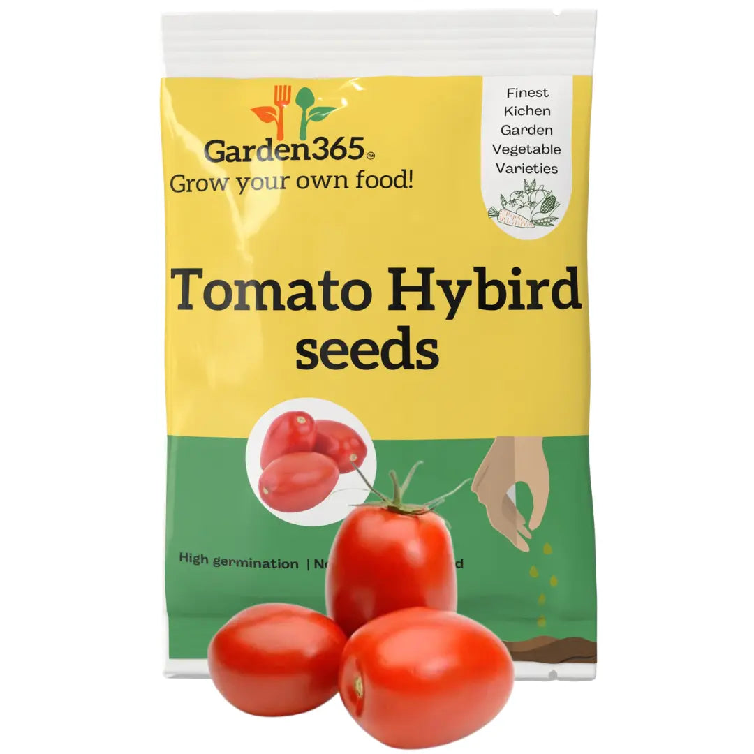 Hybrid Tomato Seeds | High Yield Variety | 30 seeds | Kitchen Garden Seeds of टमाटर / ಟೊಮೇಟೊ / టమోటా / தக்காளி / തക്കാളി Garden365