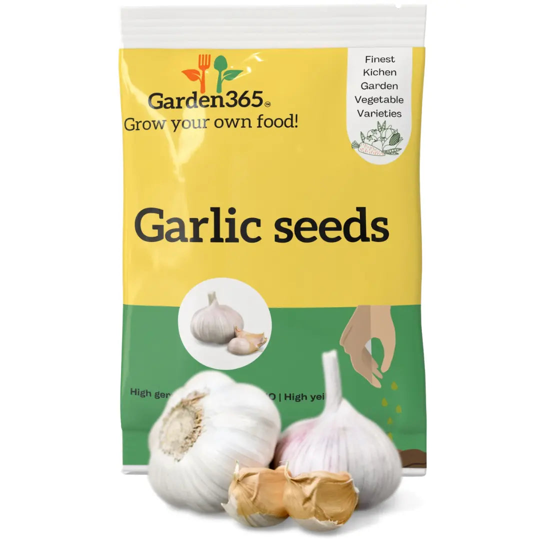 Garlic Seeds / Cloves | Organic Heirloom Naati Seeds | 25 Cloves | Kitchen Garden Seeds of लहसुन / ಬೆಳ್ಳುಳ್ಳಿ / వెల్లుల్లి / பூண்டு / വെളുത്തുള്ളി Garden365