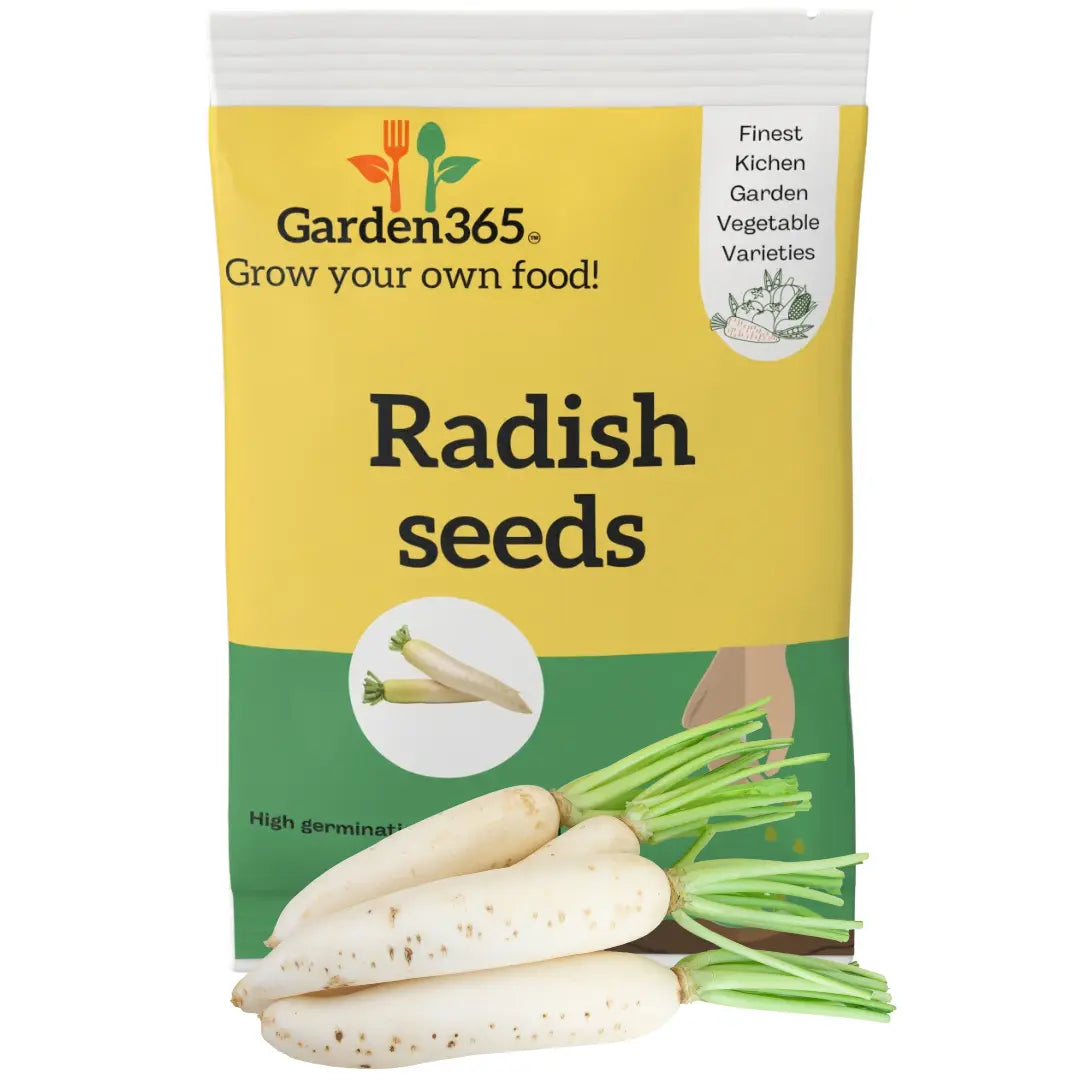 White Radish Seeds | Organic Heirloom Naati Seeds | 50 Seeds | Kitchen Garden Seeds of सफेद मूली / ಬೆಳ್ಳಿಹೊಳೆಯ ಮೂಲಂಗಿ / తెల్ల ముల్లంగి / வெள்ளை முள்ளங்கி / വെളുത്ത മുള്ളങ്കി Garden365