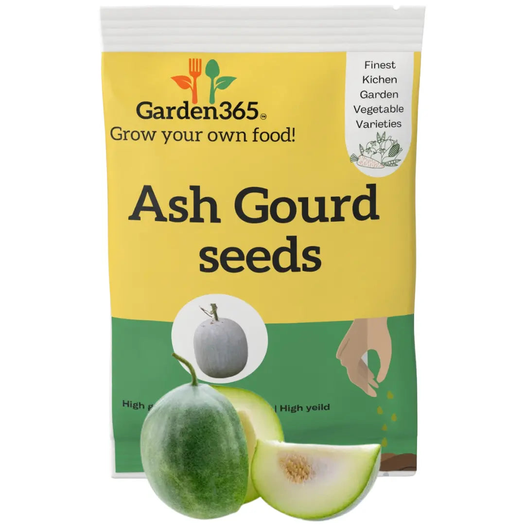 Ash Gourd Seeds (Winter Melon / Petha) | Organic Heirloom Naati Seeds | 20 Seeds | Kitchen Garden Seeds of पेठा / ಬೂದು ಕುಂಬಳಕಾಯಿ / బూడిద గుమ్మడికాయ / பூசணி / കുന്നിത്തളി Garden365