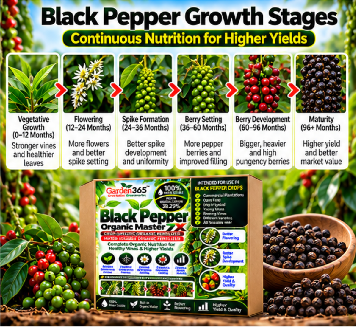 Black Pepper Organic Master 7X Crop-Specific Organic Fertilizer Water Soluble Organic Fertilizer