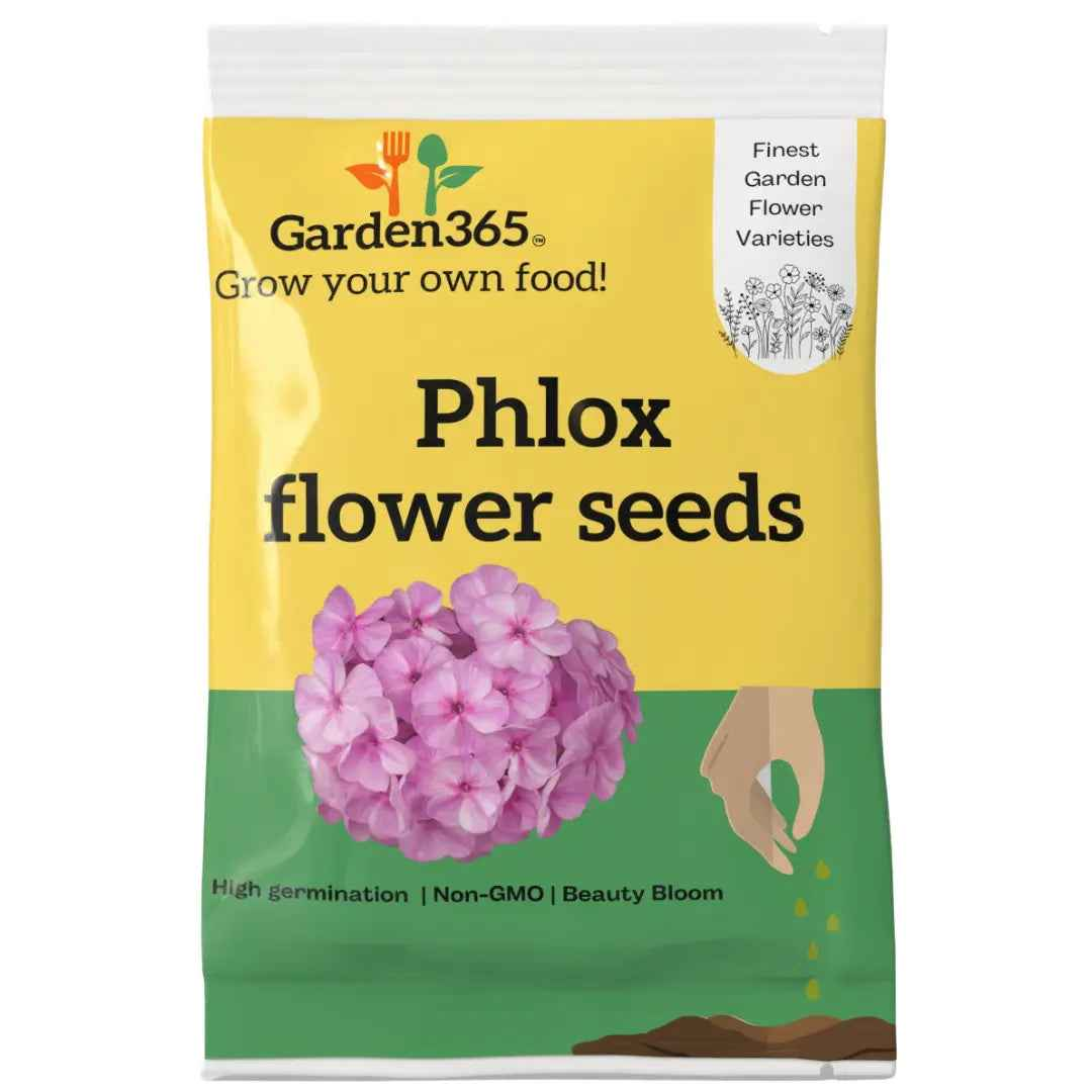 Phlox Flower Seeds