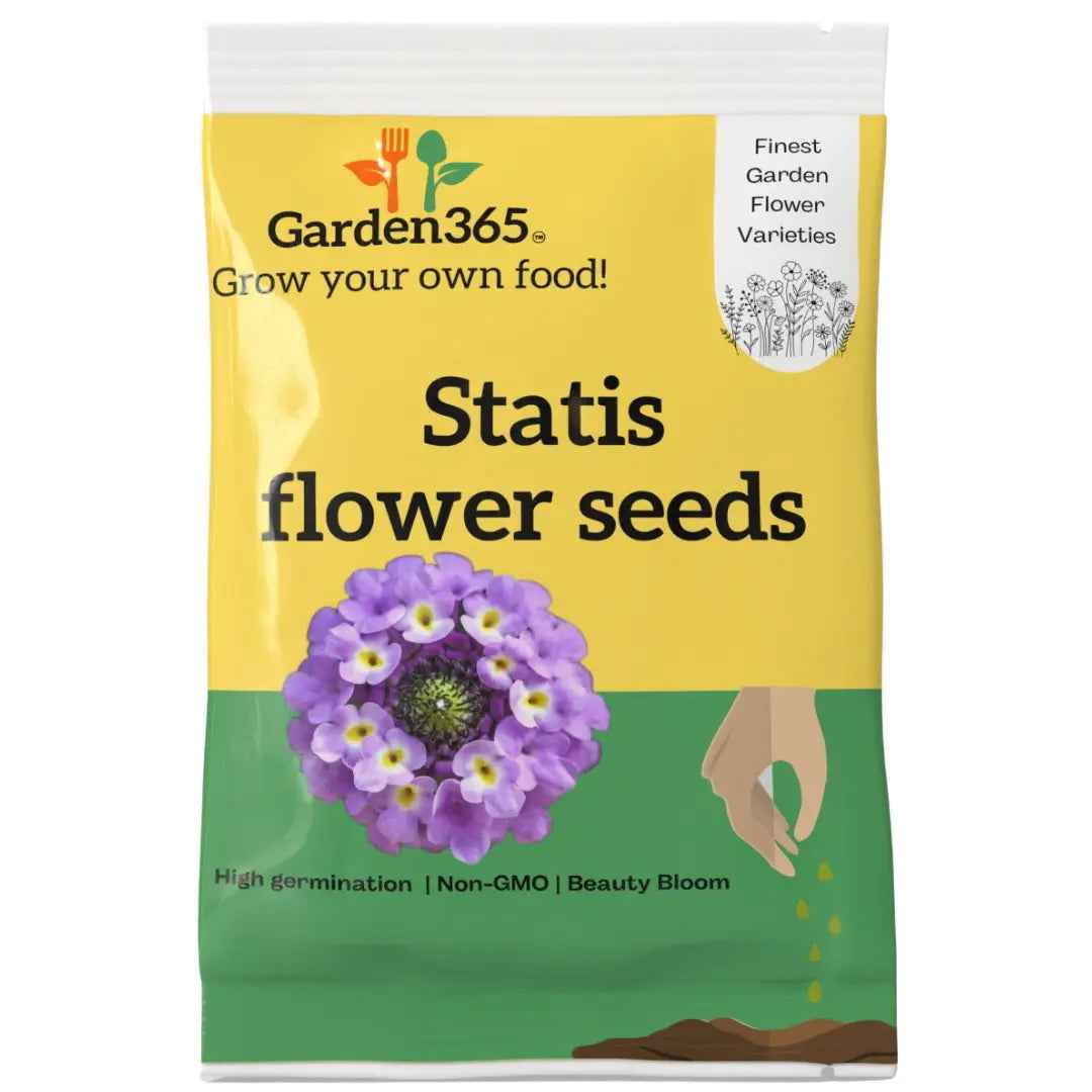Statis Flower Seeds