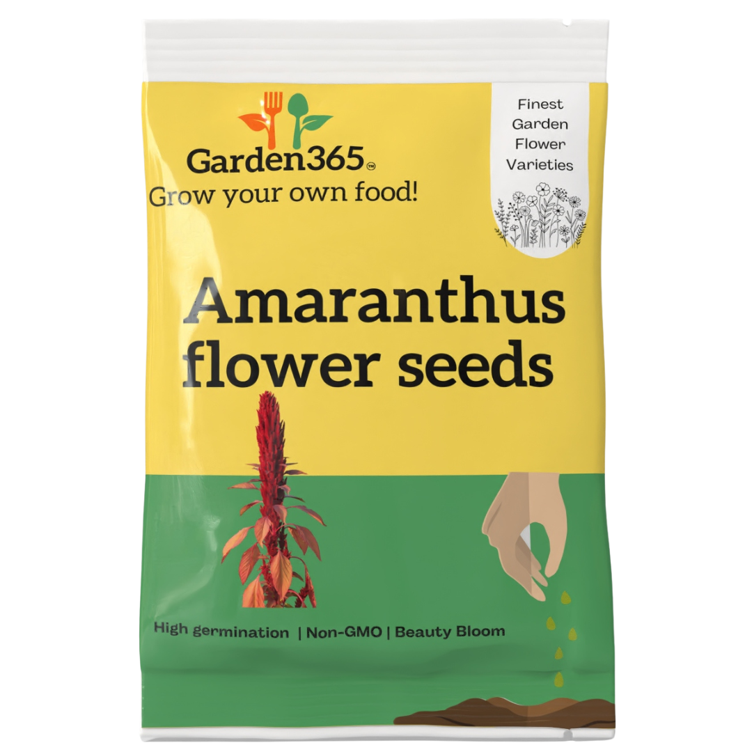 Amaranthus Flowering Seeds - Garden365