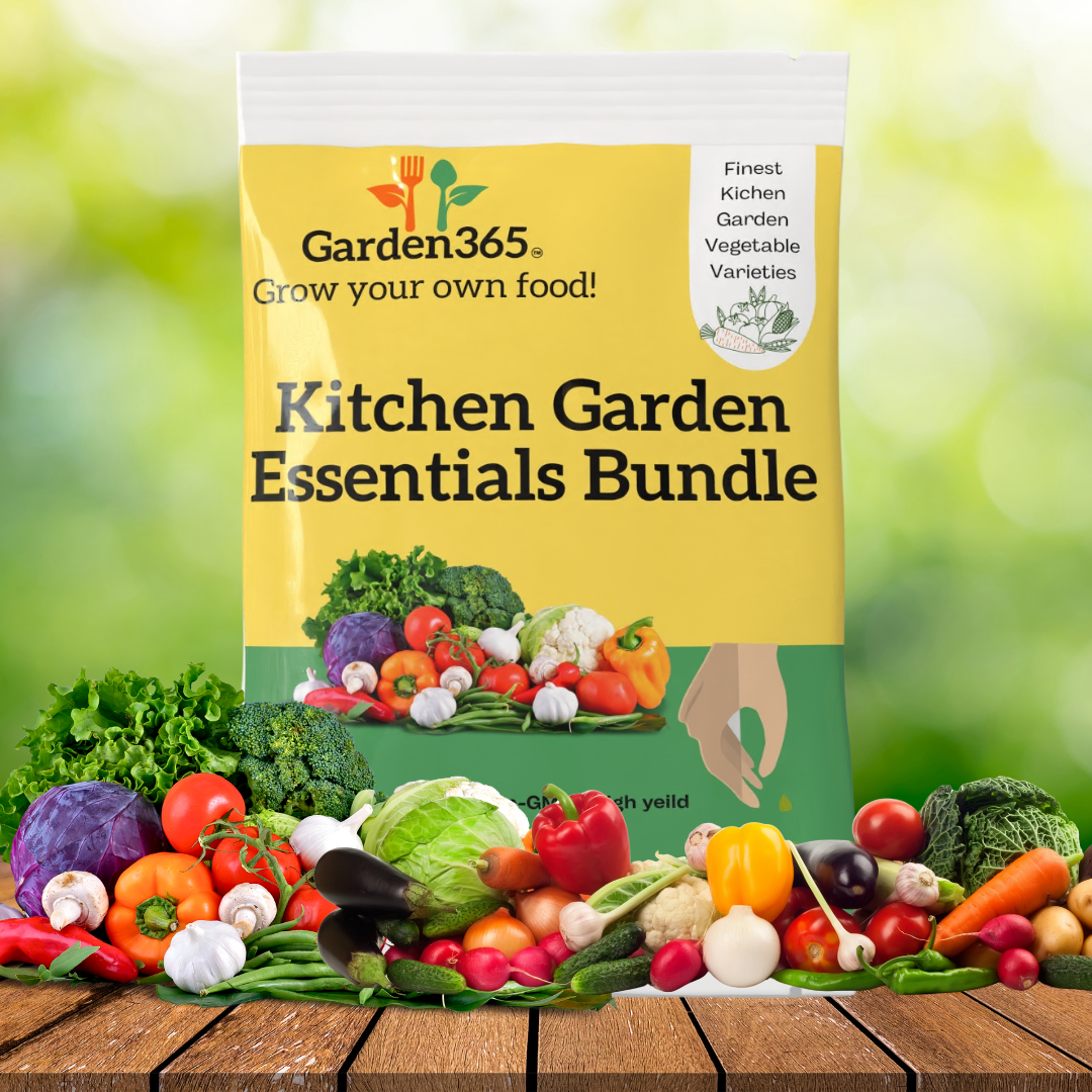 Kitchen Garden Essentials Bundle β Everything You Need to Start Growing - Garden365