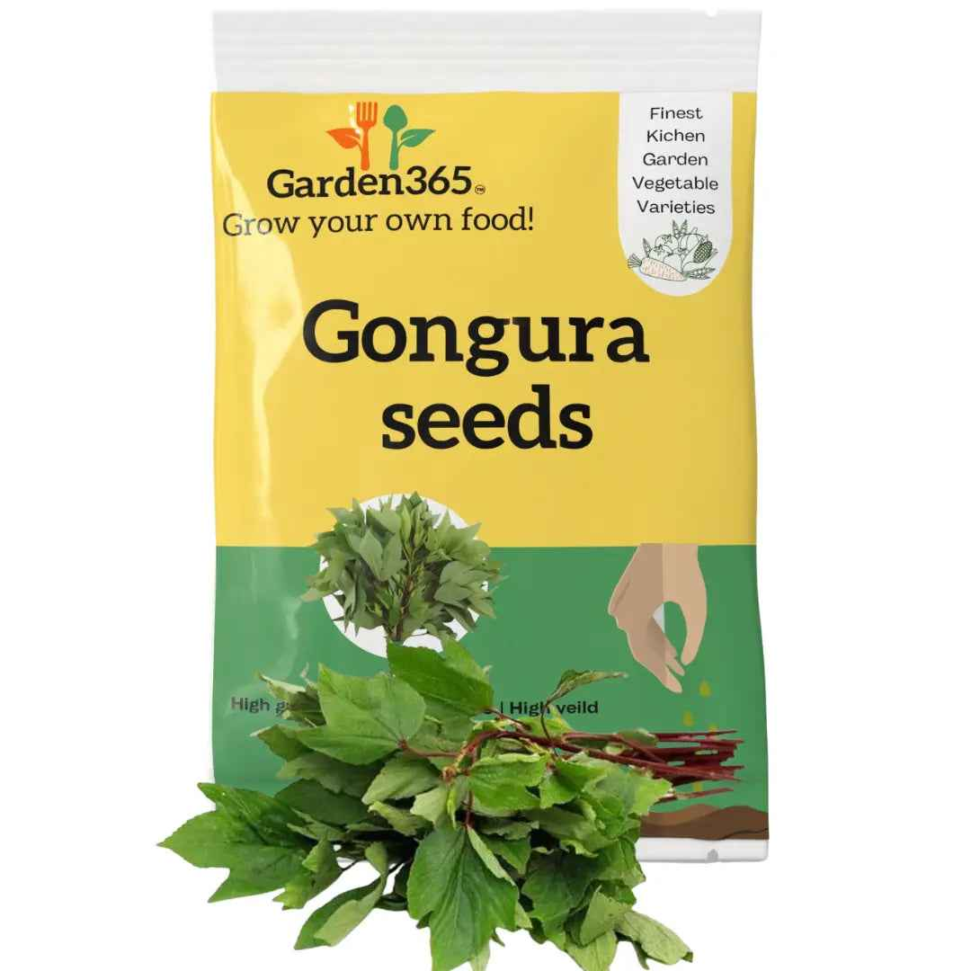 Gongura Seeds (Roselle / Sorrel / Ambadi) | Organic Heirloom Naati Seeds | Kitchen Garden Seeds of गोंगुरा / ಪಿಟ್ಟಸೊಪ್ಪು / గోంగూర / புளிச்சைக்கீரை / പുലിച്ചക്കീര (25gm)