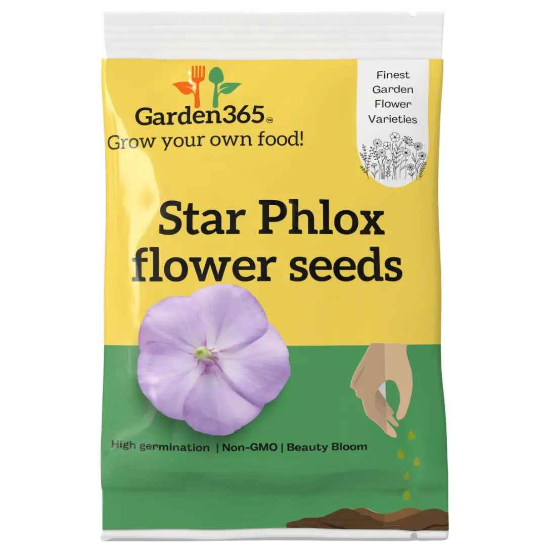 Star Phlox Flower Seeds