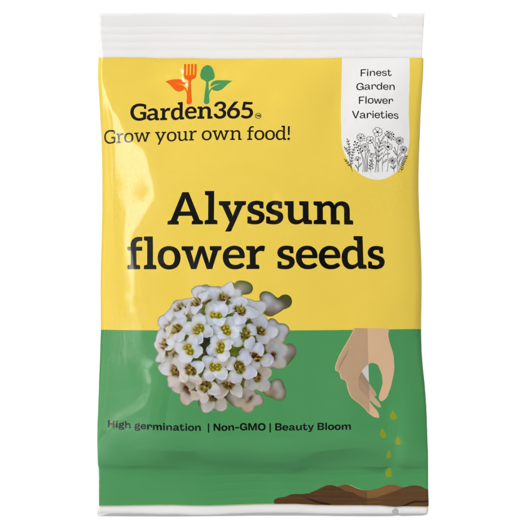 Alyssum Flower Seeds - Garden365