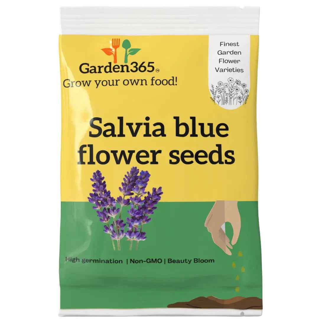 Salvia Blue Flower Seeds |Salvia seeds