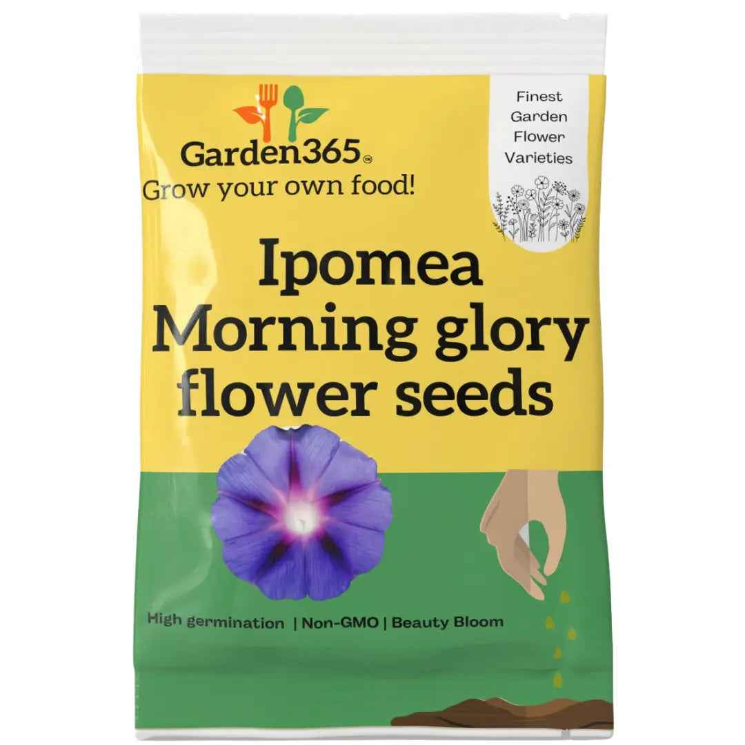 Ipomoea Seeds | Morning Glory Flower seeds