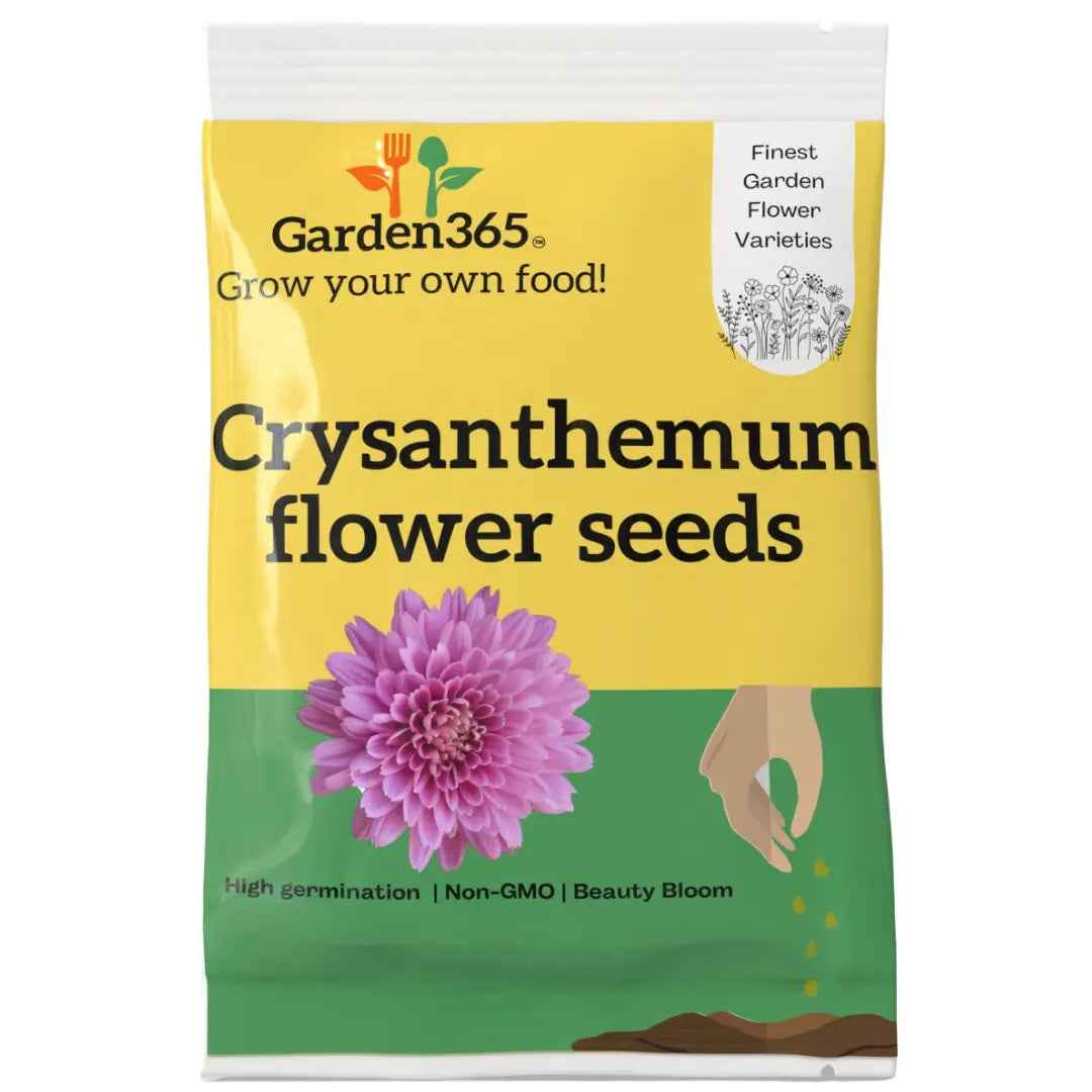 Chrysanthemum Flower Seeds | chrysanthemum seeds