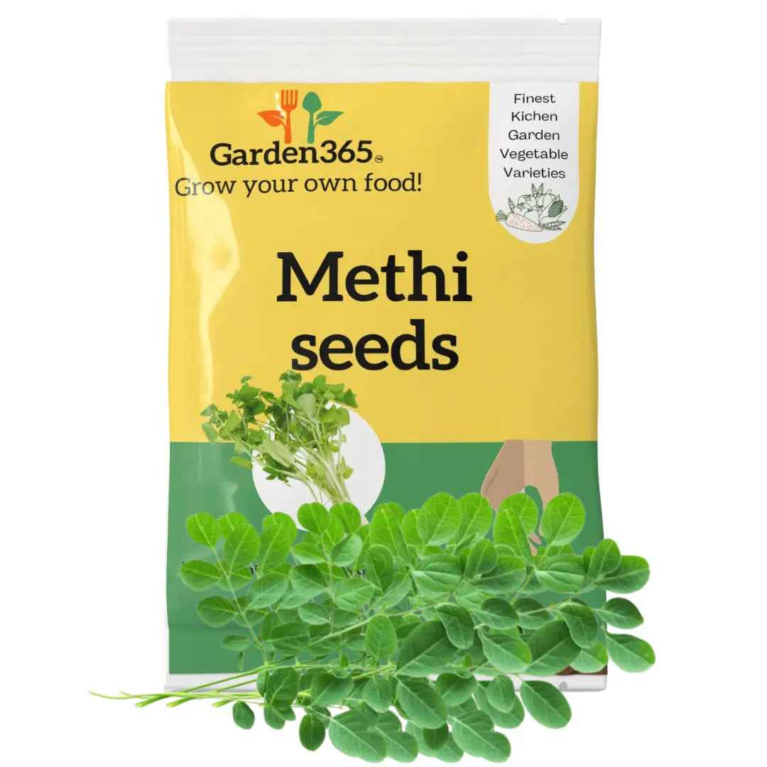 Methi Seeds (Fenugreek) | Organic Heirloom Naati Seeds | 30 Seeds | Kitchen Garden Seeds of मेथी / ಮೆಂತ್ಯ / మెంతులు / வெந்தயம் / ಉലുവ (20 gm)