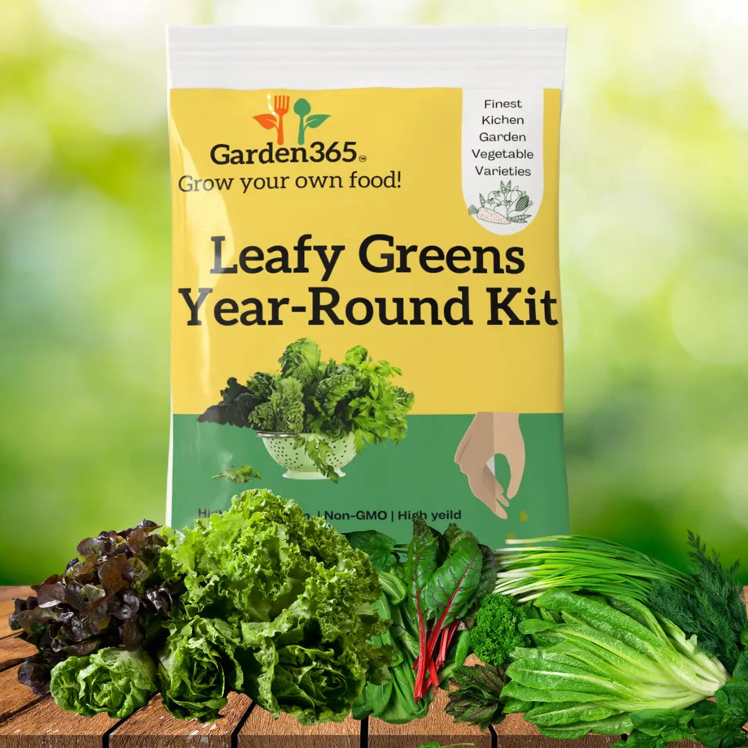 Leafy Greens Year-Round Kit – Fresh, Healthy Harvests Every Season | Pack of 6 varity seeds Garden365