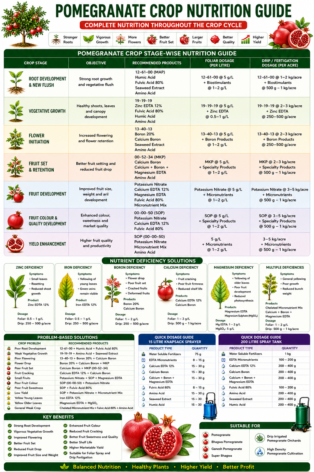 Pomegranate Crop Nutrition | Fertilizers, Micronutrients & Biostimulants for Pomegranate Crop