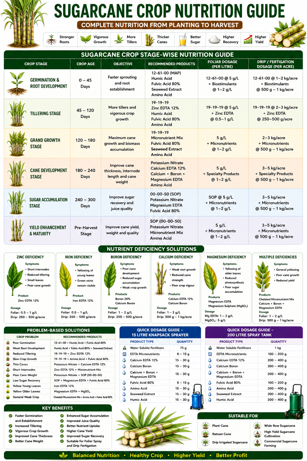 Sugarcane Crop Nutrition | Fertilizers, Micronutrients & Biostimulants for Sugarcane Crop