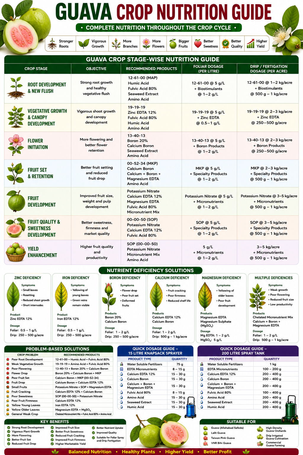 Guava Crop Nutrition | Fertilizers, Micronutrients & Biostimulants for Guava Crop