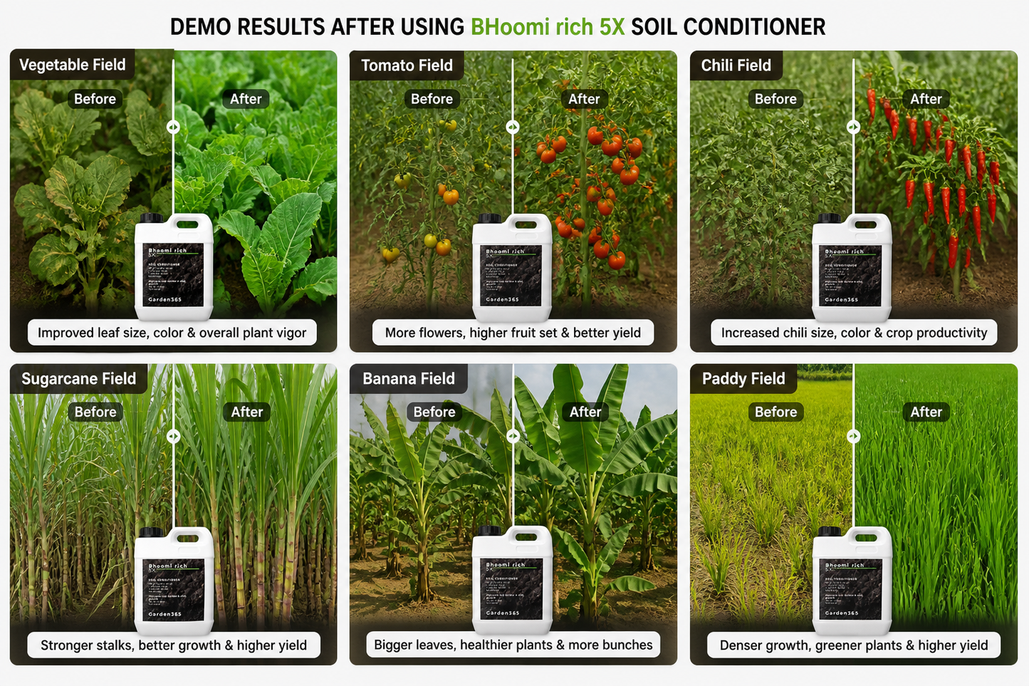 Bhoomi Rich 5X Soil Conditioner for pH Balance & Organic Carbon Boost