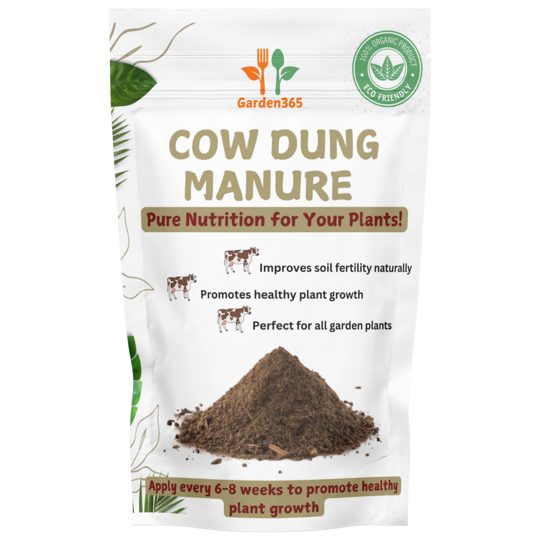 Desi cow Manure
